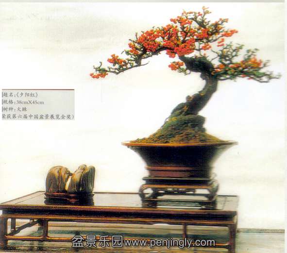 辰-.jpg