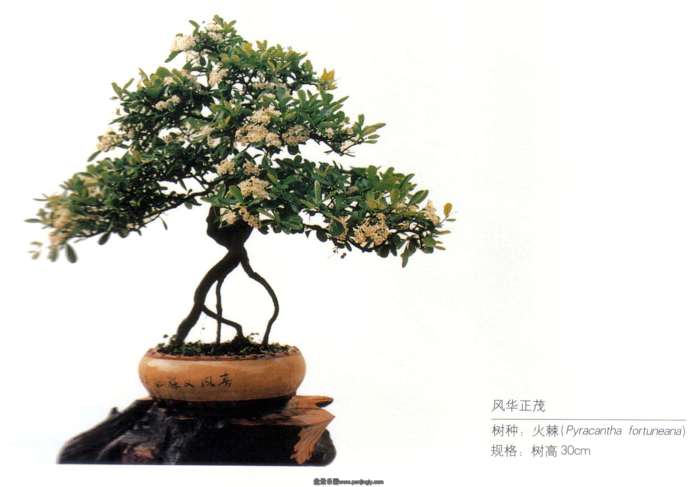 绪ï.jpg
