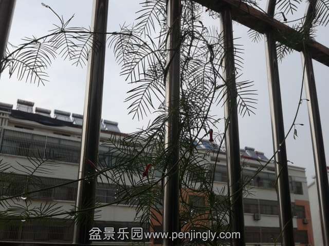 2013-08-23 16.37.24(2).jpg