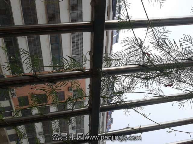 2013-08-23 16.37.38.jpg