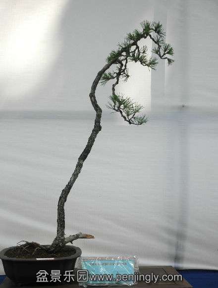 P1010351.JPG