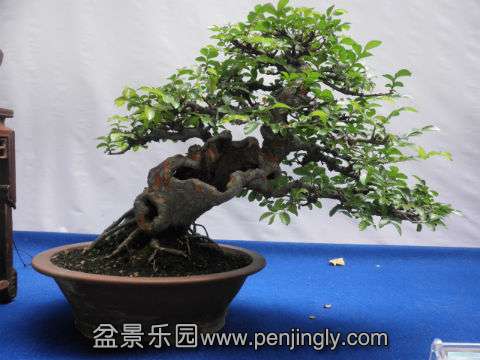 P1010408.JPG
