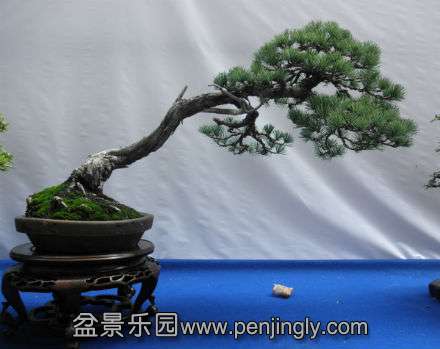 P1010423.JPG