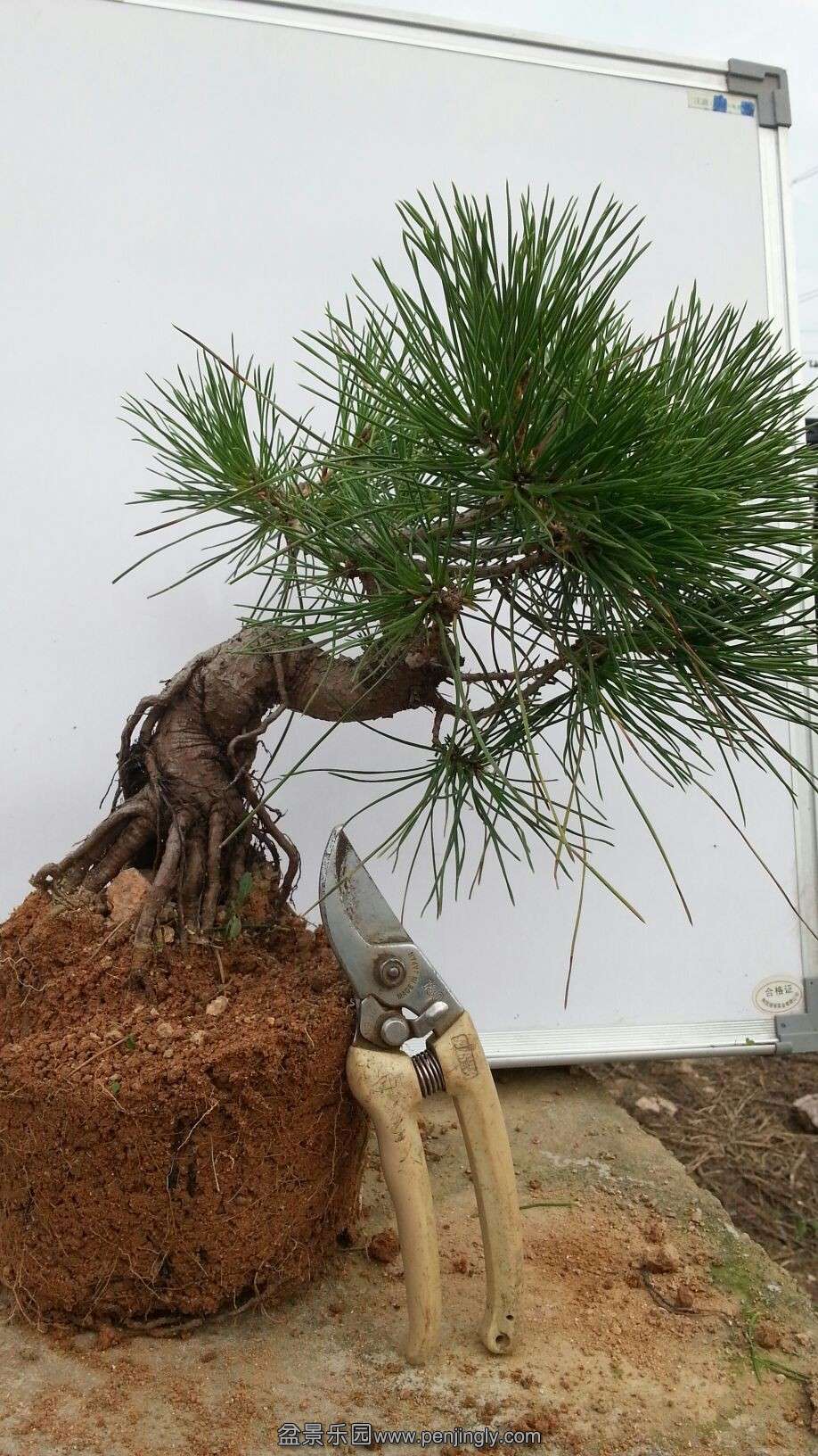 20130922193807.jpg