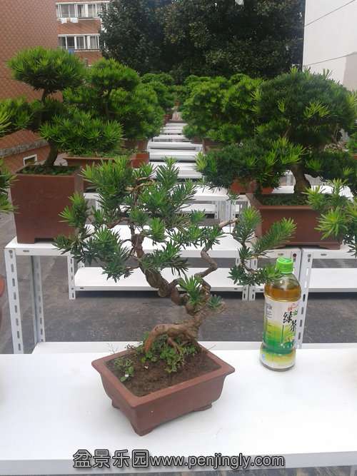 2013-09-23 13.12.28.jpg