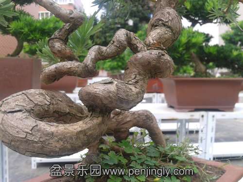 2013-09-23 13.13.54.jpg