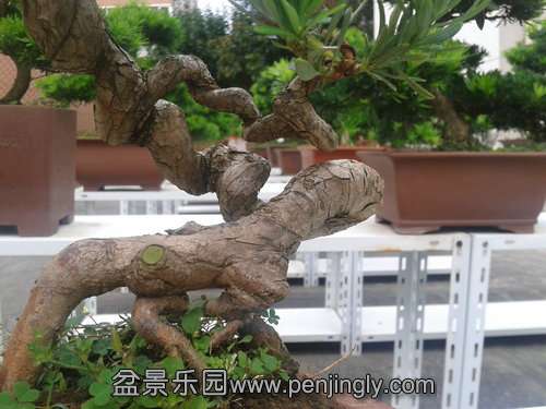 2013-09-23 13.10.53.jpg