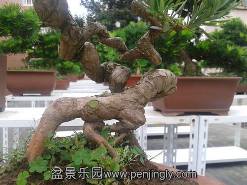 2013-09-23 13.11.43.jpg