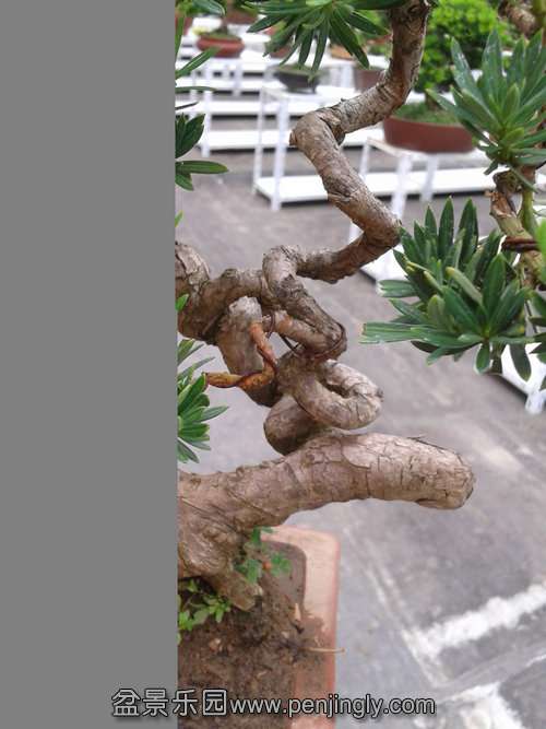 2013-09-21 12.46.34.jpg