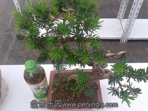 2013-09-23 13.14.54.jpg