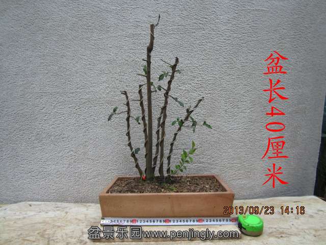 IMG_2276_.jpg