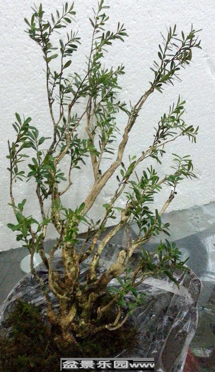 20130909_165123_.jpg