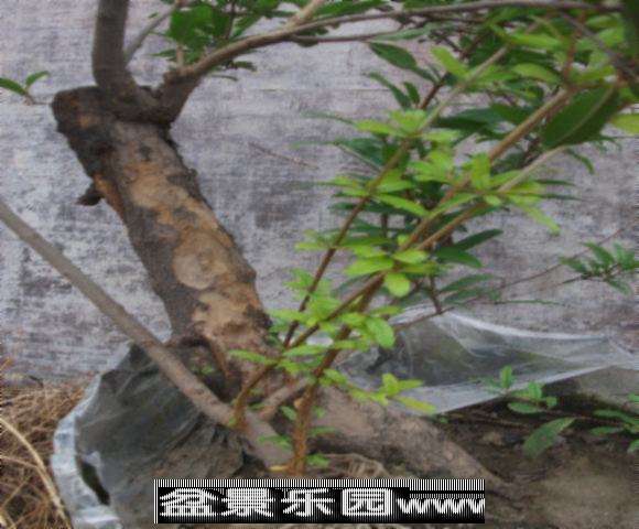 DSCF2057.jpg