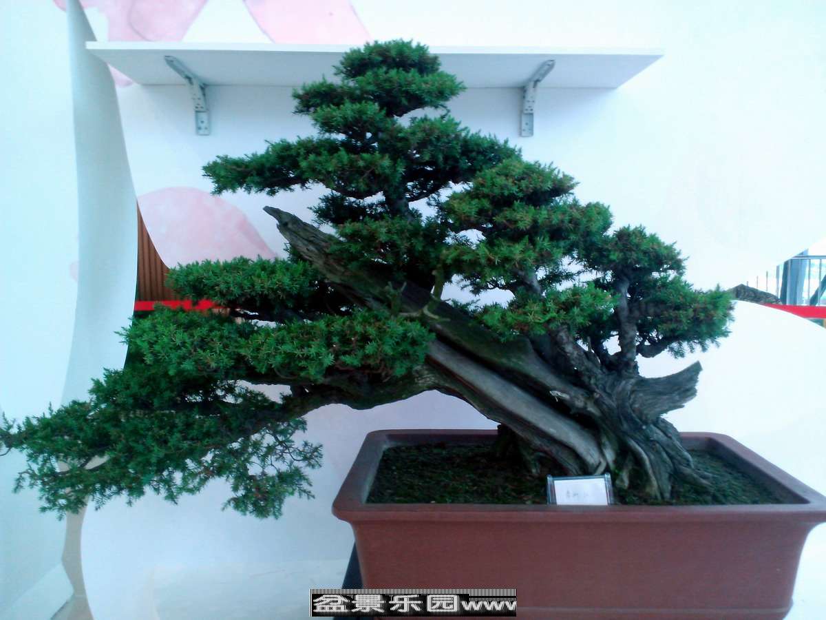 19.jpg