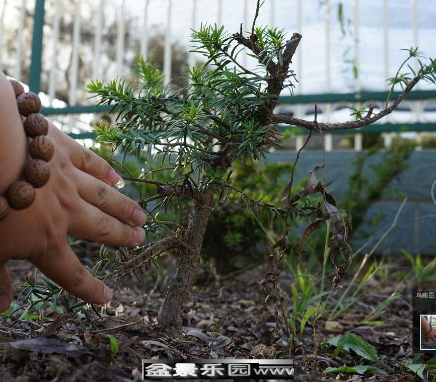 QQͼƬ20130923235152.jpg