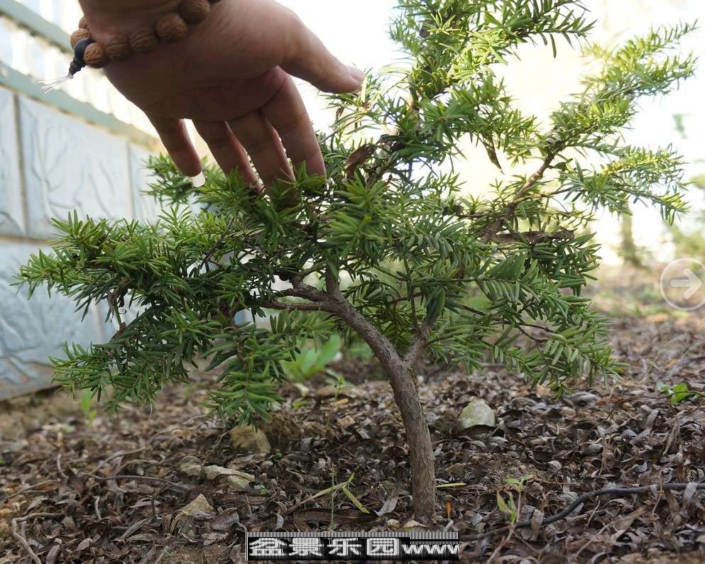 QQͼƬ20130923235243.jpg