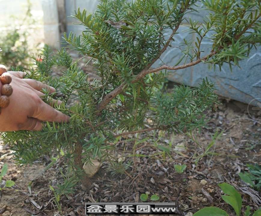 QQͼƬ20130923235808.jpg