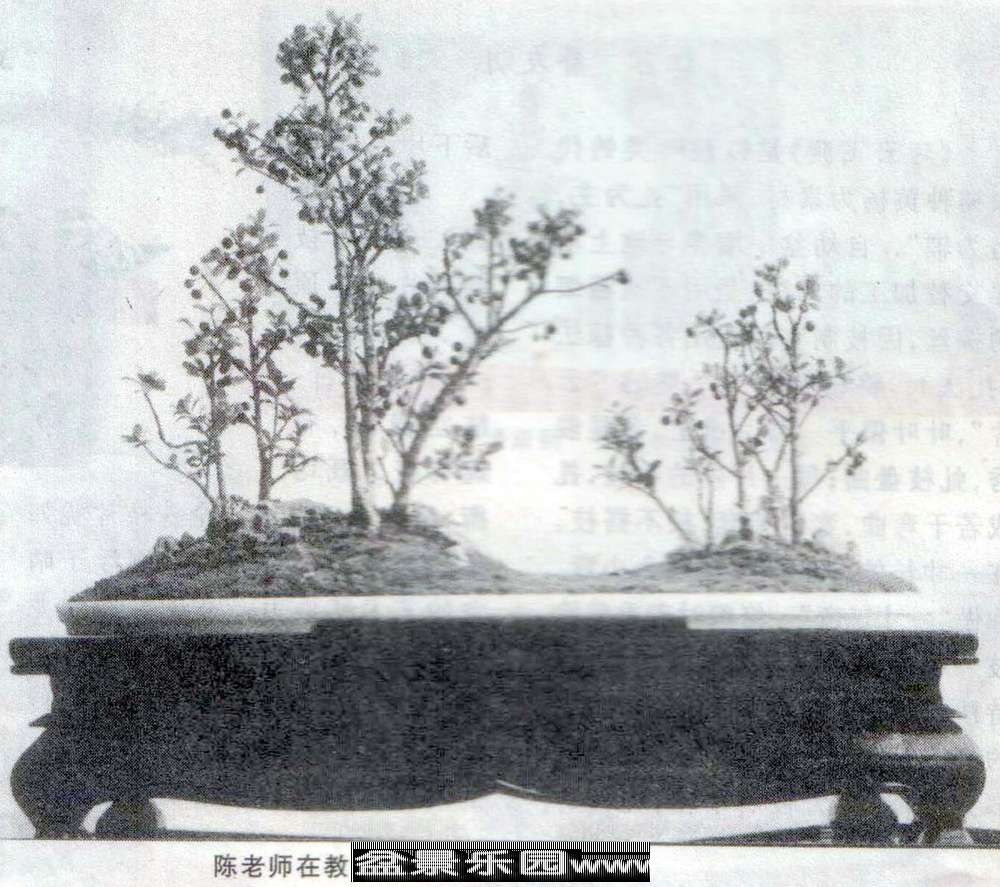   ʯ辰-01-11.jpg