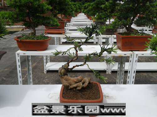 2013-09-25 12.57.47.jpg