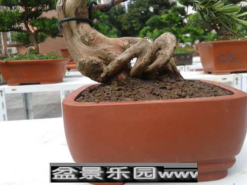 2013-09-25 12.56.50.jpg