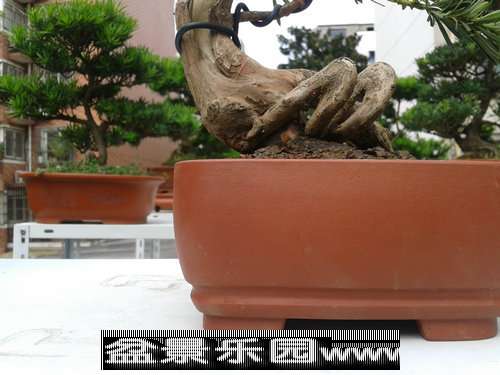 2013-09-25 12.57.06.jpg