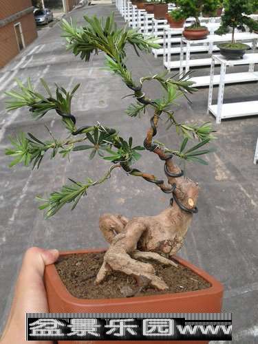 2013-09-25 12.37.16.jpg