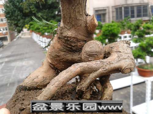 2013-09-25 12.45.50.jpg