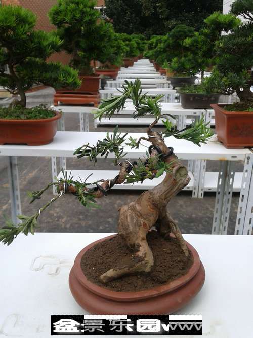 2013-09-25 12.52.26.jpg