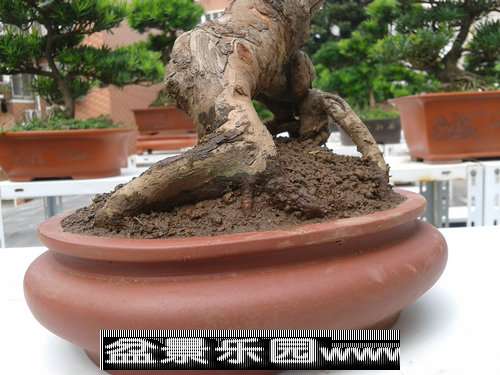 2013-09-25 12.52.39.jpg