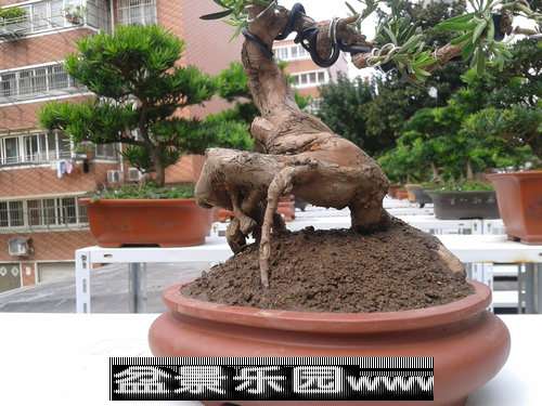 2013-09-25 12.53.21.jpg