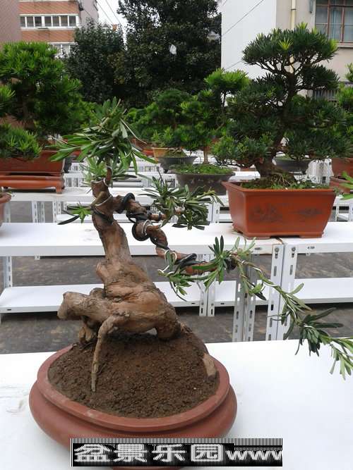 2013-09-25 12.55.01.jpg