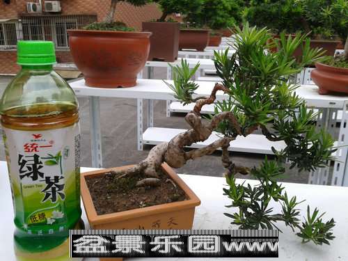 2013-09-25 16.06.24.jpg