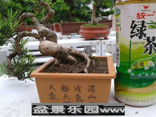 2013-09-25 16.07.36.jpg