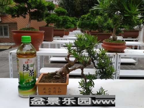 2013-09-25 16.09.09.jpg