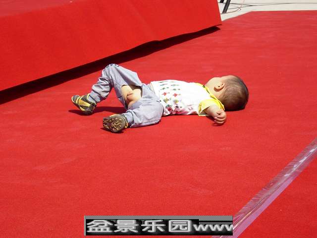 DSCN0681.JPG