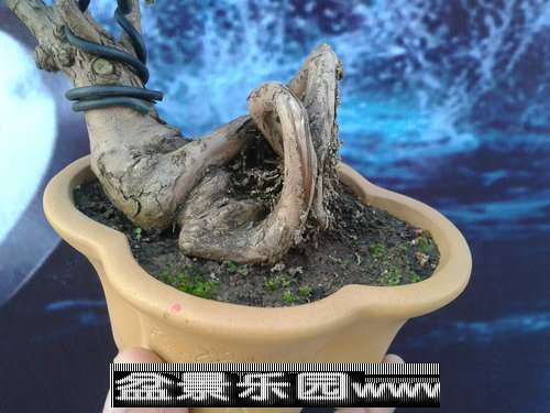 2013-09-26 16.36.14.jpg