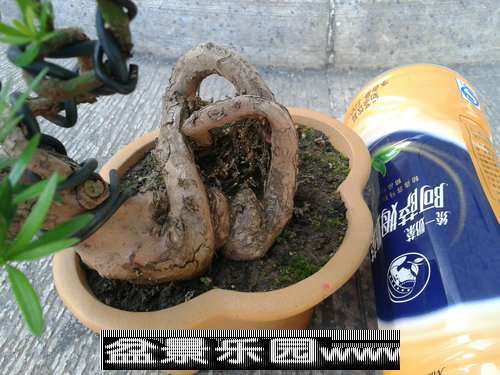 2013-09-26 16.38.41.jpg