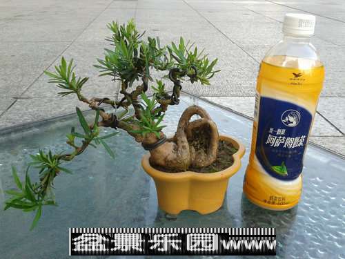 2013-09-26 16.43.21.jpg