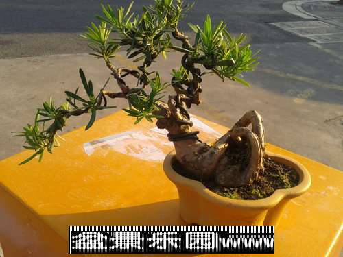 2013-09-26 16.34.31.jpg