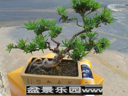 2013-09-26 16.54.30.jpg