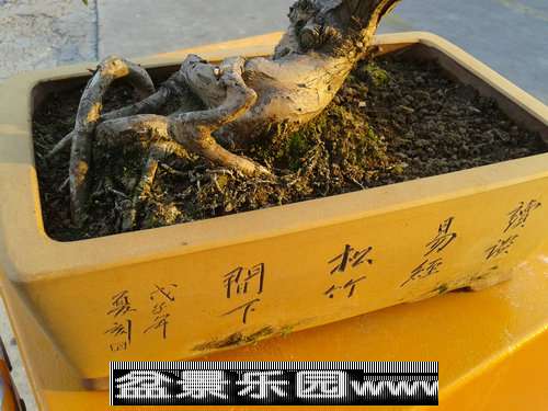 2013-09-26 16.44.56.jpg