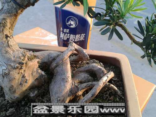 2013-09-26 16.45.19.jpg