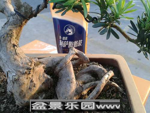 2013-09-26 16.45.39.jpg