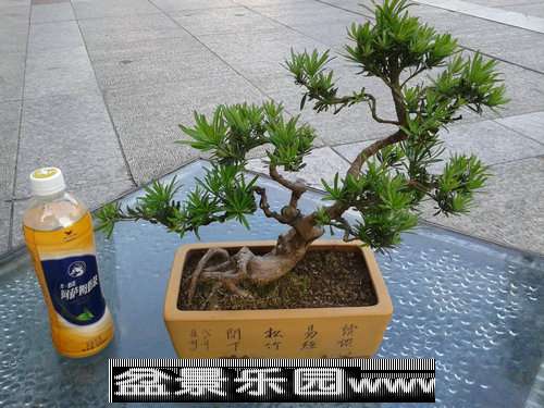 2013-09-26 16.47.31.jpg