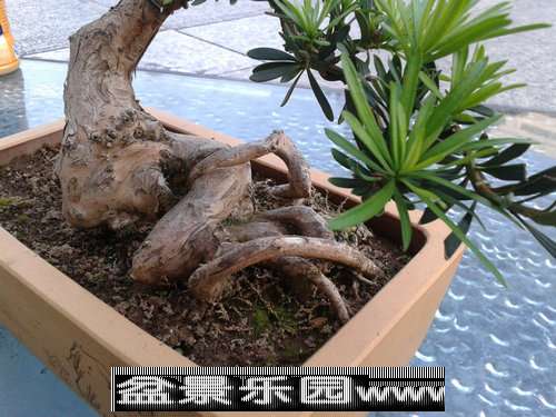 2013-09-26 16.49.08.jpg