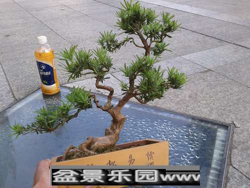 2013-09-26 16.52.05.jpg