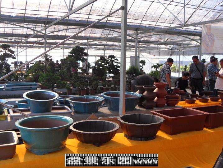SDC13096.JPG
