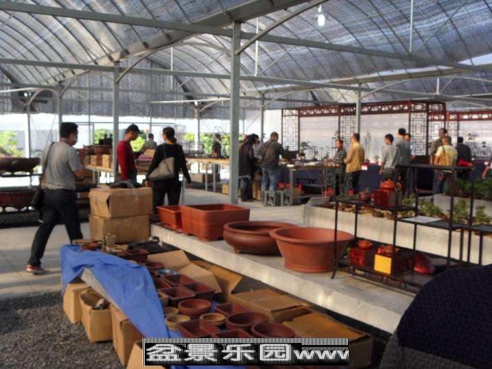 SDC13098.JPG