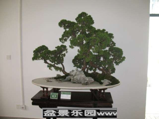 psb (84).jpg