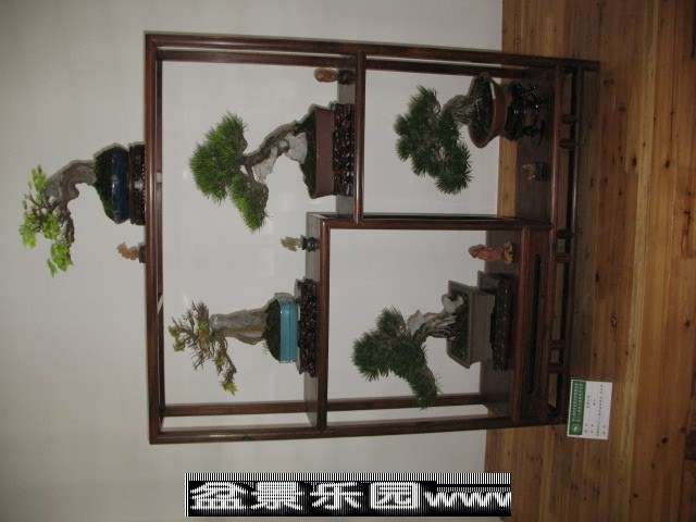 psb (90).jpg